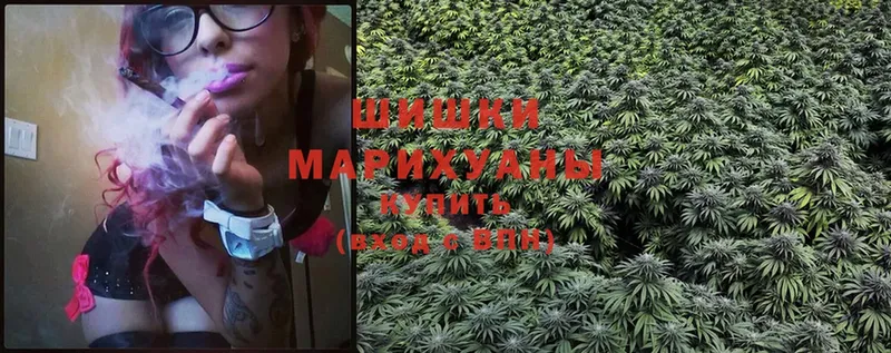 Конопля Ganja  Сычёвка 